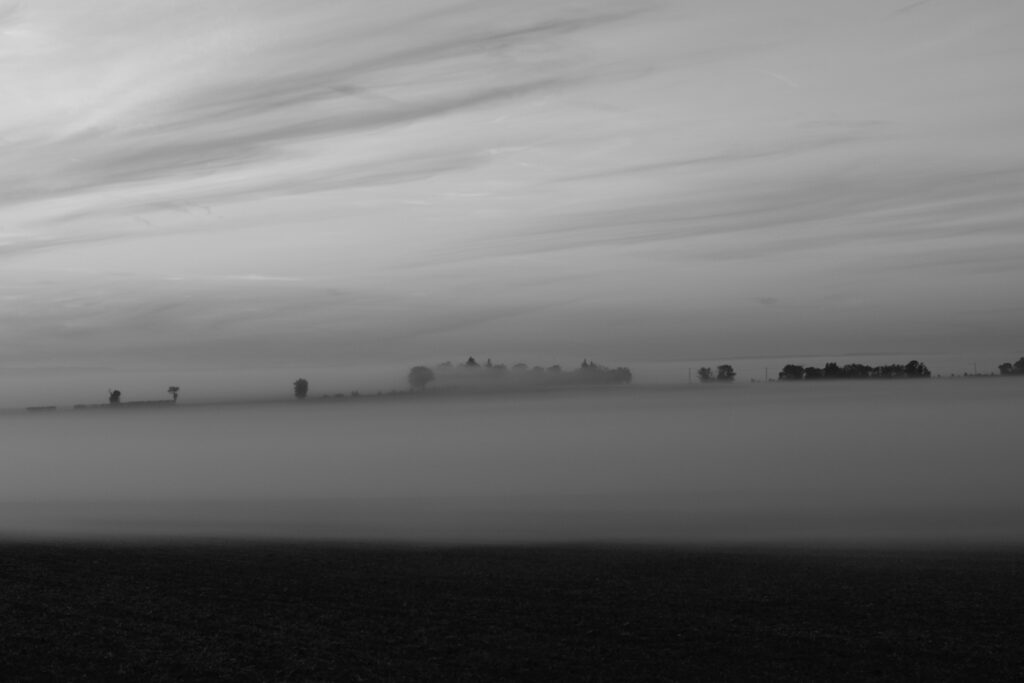 Dsc 0006