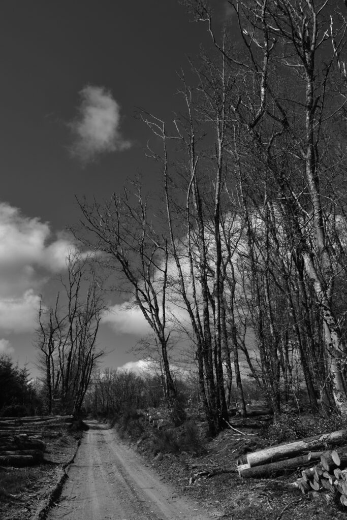 Dsc 0315