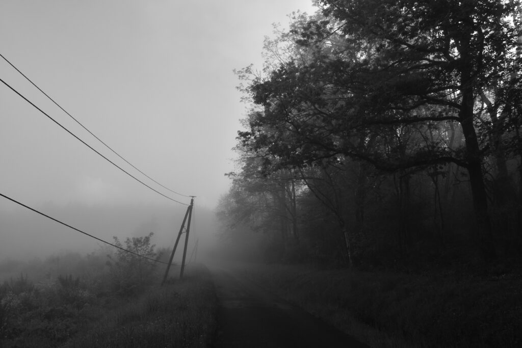 Dsc 0556