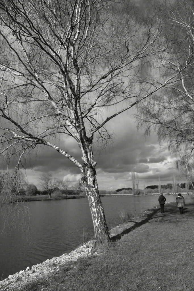 Dsc 1020