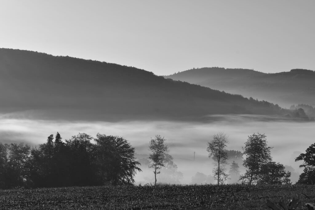 DSC 0175