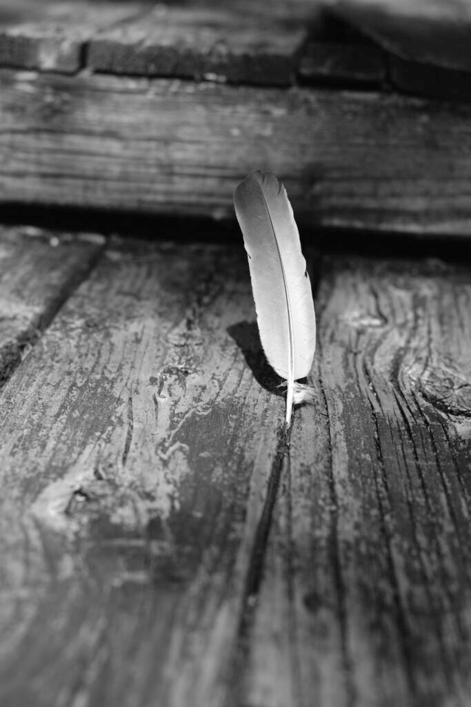 Plume